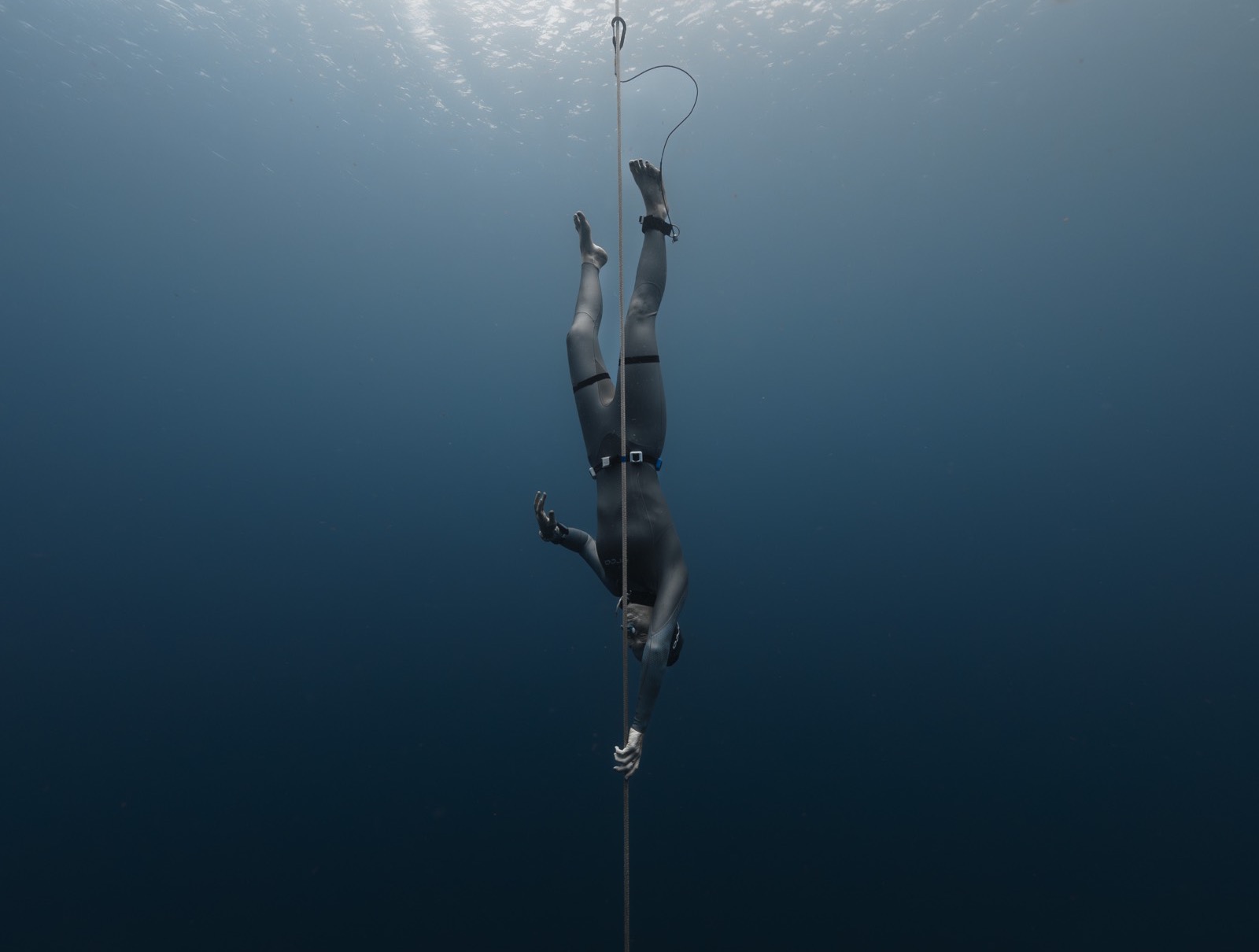 Natalie Bruce freediving on a head-down descent along the line into deep blue water